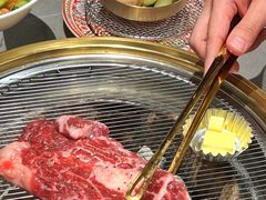 -杨小佳·齐齐哈尔烤肉·烤串(广州店)