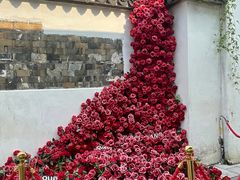 -青果巷历史文化街区