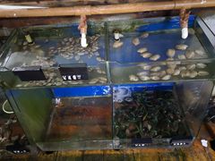 -蓝湾碧波·老字号·疍家非遗海上餐厅