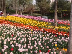 -廊坊文化艺术中心