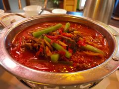 -院8里·少城记忆老川菜(宽窄巷子店)