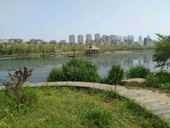 -前关湿地公园