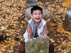 -千年银杏谷文化旅游区