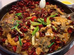 -老板恋上鱼(高新万达店)