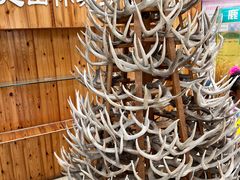 -北京鹿世界主题园