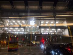 -Big Bus Tours 敞篷观光巴士