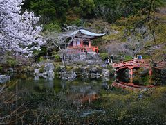 -醍醐寺