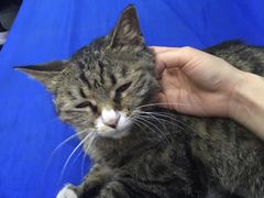 -延成苑韩式烤肉店(长春道店)