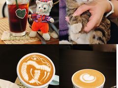 -SAFARI COFFEE