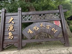 -大鹿岛