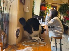 -萤火虫咖啡(后海店)