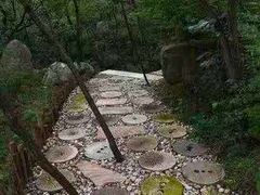 -黄金寨原生态旅游区
