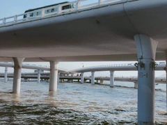 -演武大桥观景平台