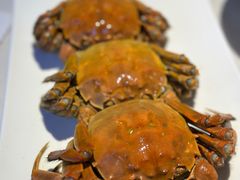 -肥肥虾庄·金牌油焖大虾(沙湖店)