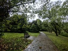 -上海共青森林公园