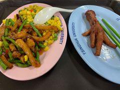 玉米-清华大学-清芬园