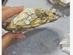 -渔人金景(湛江·渔人码头店)