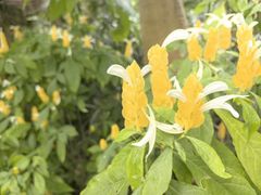 -华南国家植物园-售票处