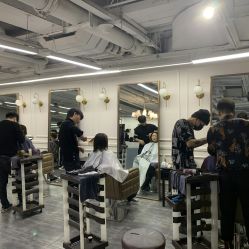 -MYCOLORHARSALON
