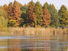 -贡湖湾湿地公园