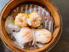 虾饺皇拼鱼角-山水茶艺馆·点心粤菜·30年老字号