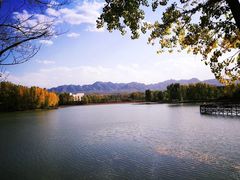 -中华三祖圣地黄帝城遗址文化旅游区