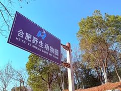 -合肥野生动物园