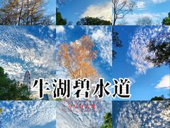 -观澜湖生态运动公社