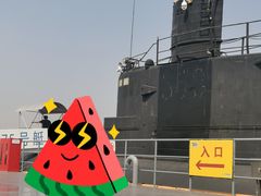 -泰达航母主题公园