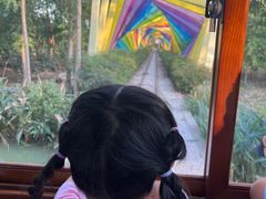 -合肥滨湖国家森林公园