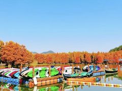 -青山湖景区