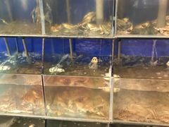 水产区-天天渔港海鲜酒家(石浦玉泉路店)