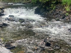 -凤凰山国家森林公园