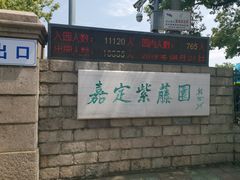 -嘉定紫藤园
