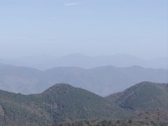 -鱼乐岛餐厅·户外花园主题餐厅