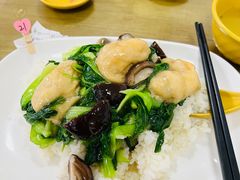 香菇面筋毛菜饭-玉华饮食店(茅台路店)