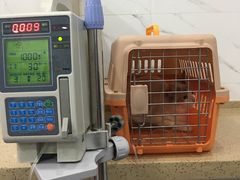 -伟伟宠物医院·CT影像中心·瑞派犬猫综合性门诊(汉口总院)