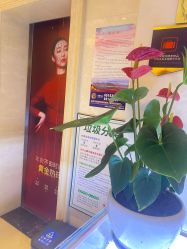 点击看大图 -昆明梦想医疗美容医院