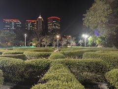 -九龙公园