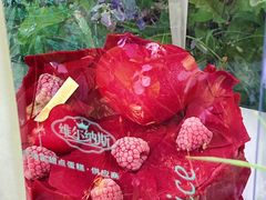 -维尔纳斯·生日蛋糕·动物奶油冰淇淋蛋糕(六里桥店)