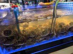 -锅儿欢海鲜火锅烤肉自助餐(东港凯虹店)