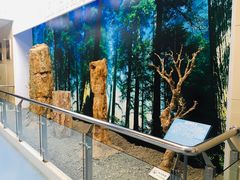 -延庆地质公园博物馆