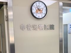 -申普宠物医院·心脏介入·心血管微创(总院)