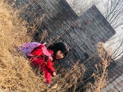 -玉泉威虎山森林公园
