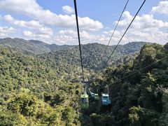 -野象谷景区