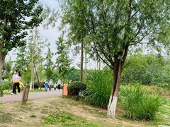 -白鹭湾湿地公园