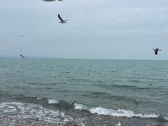 -青海湖国家重点风景名胜区