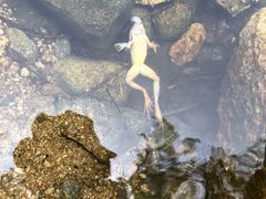 -碓臼峪自然风景区