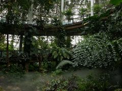 -昆明植物园