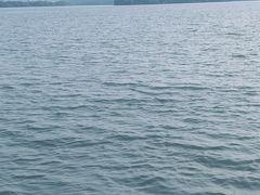 -蠡湖大桥公园